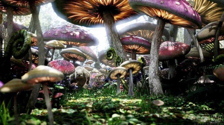 黑色款的电动车最容易吸热吗？游戏画面